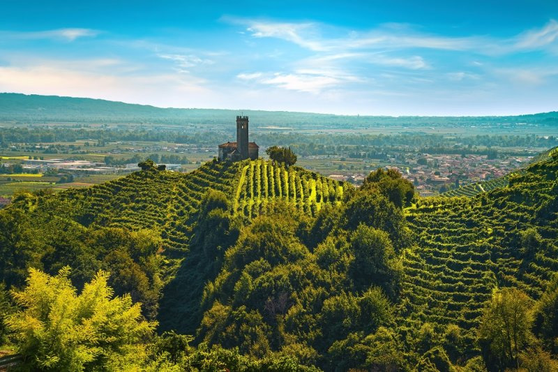 Presentazione della Guida  