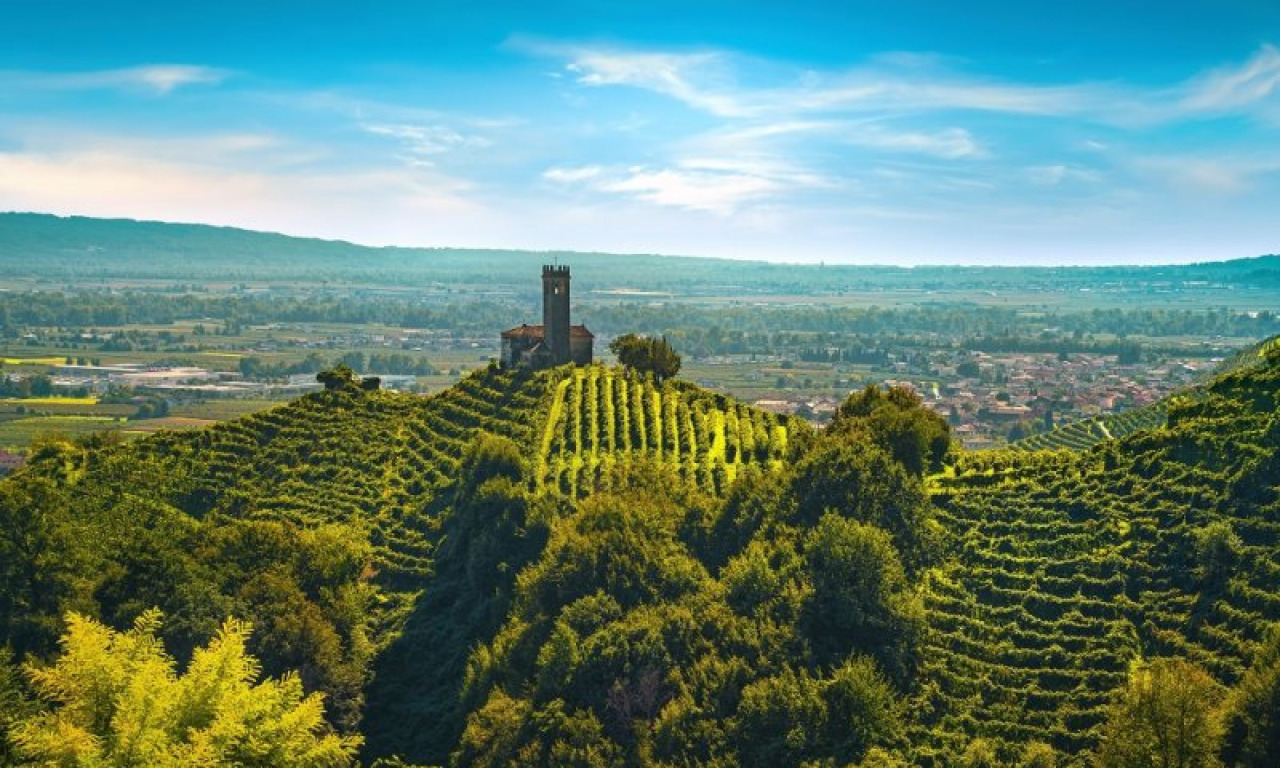 Presentazione della Guida  